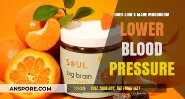Lion's Mane Mushrooms: Natural Remedy for High Blood Pressure?