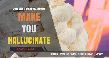 Lion's Mane Mushroom: Hallucination Myth or Cognitive Boost Reality?