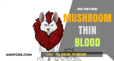 Lion's Mane Mushroom: Blood Thinner or Myth?