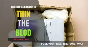 Lion's Mane Mushrooms: Blood Thinners or Not?