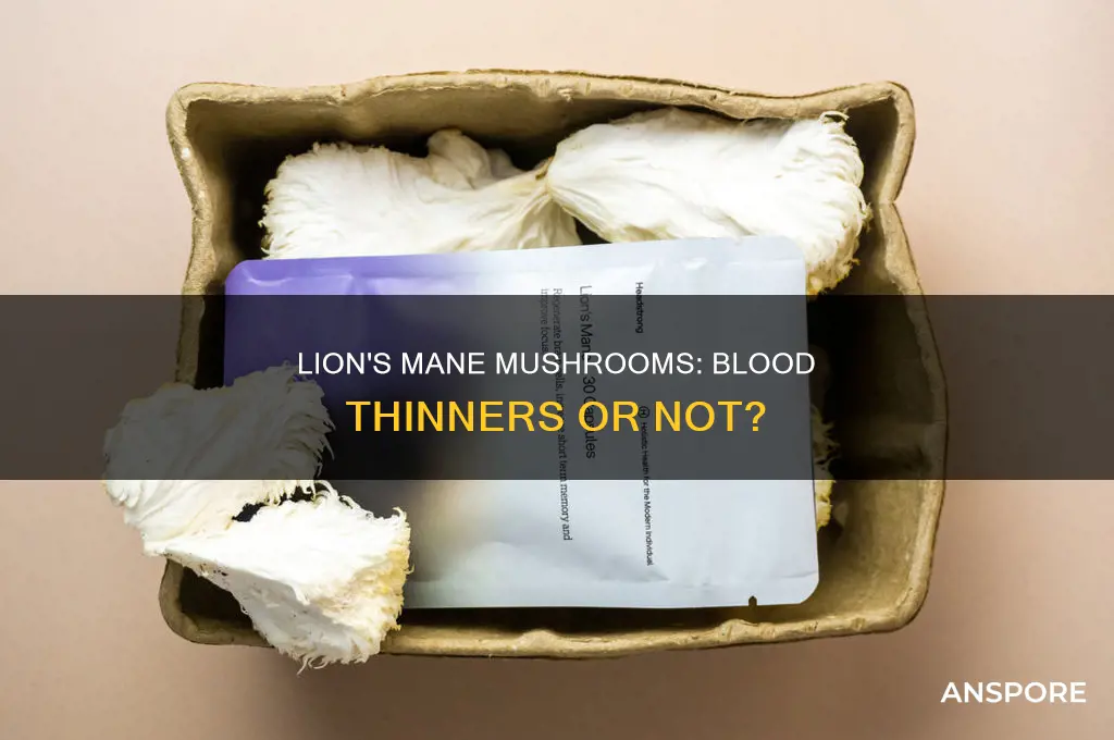 does lions mane mushroom thin the blod