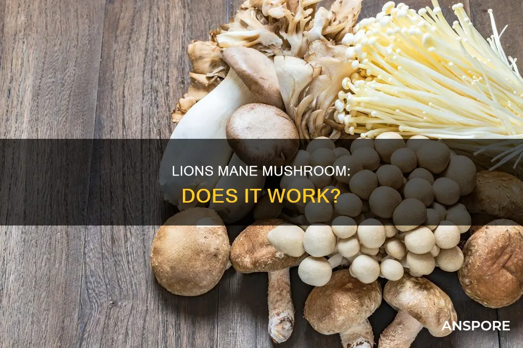 does lions mane mushroom work