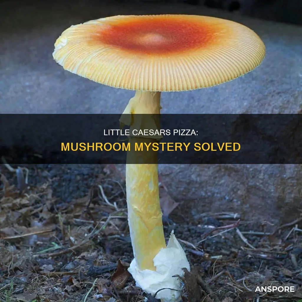 does little caesars have mushrooms