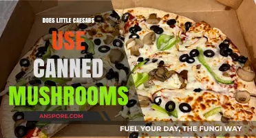 Little Caesars Mushrooms: Fresh or Canned? The Truth Revealed