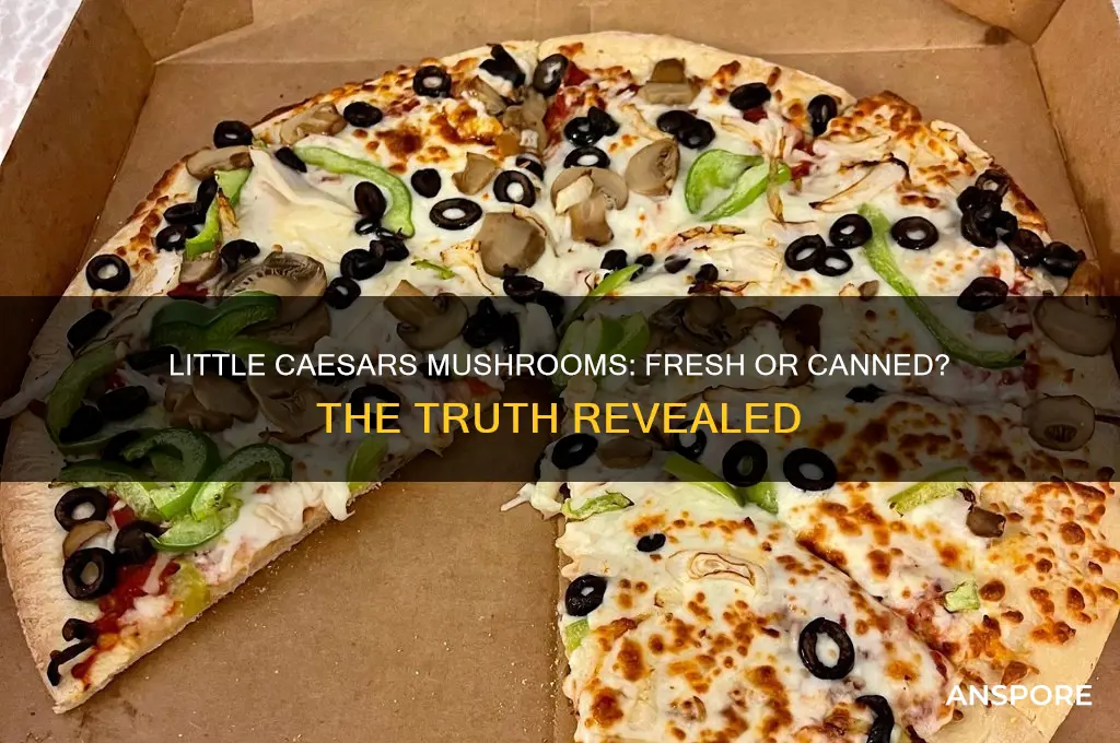 does little caesars use canned mushrooms