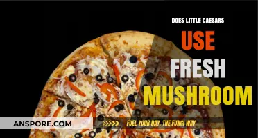 Are Little Caesars Mushrooms Fresh? Uncovering the Truth Behind the Topping