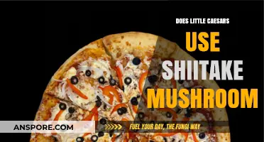 Does Little Caesars Use Shiitake Mushrooms? Ingredients Revealed