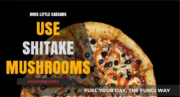 Does Little Caesars Use Shiitake Mushrooms? Ingredients Unveiled