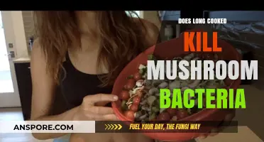 Long Cooking Mushrooms: Does It Eliminate Bacteria Effectively?
