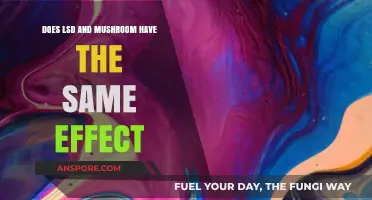 Psychedelics: Exploring the Similarities Between LSD and Mushrooms