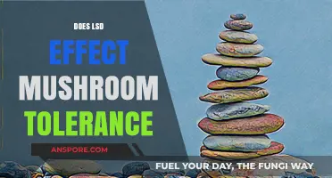 Psychedelics Tolerance: LSD and Mushroom Cross-Tolerance