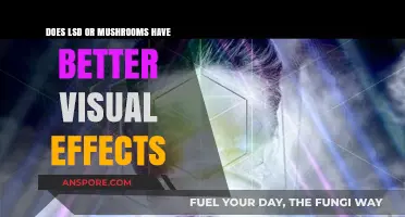 Psychedelics: A Visual Comparison of LSD and Magic Mushrooms
