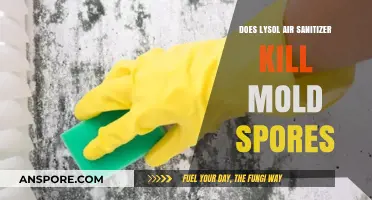 Lysol Air Sanitizer: Effective Against Mold Spores or Not?