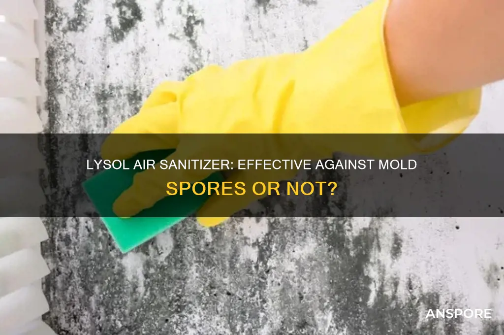 does lysol air sanitizer kill mold spores