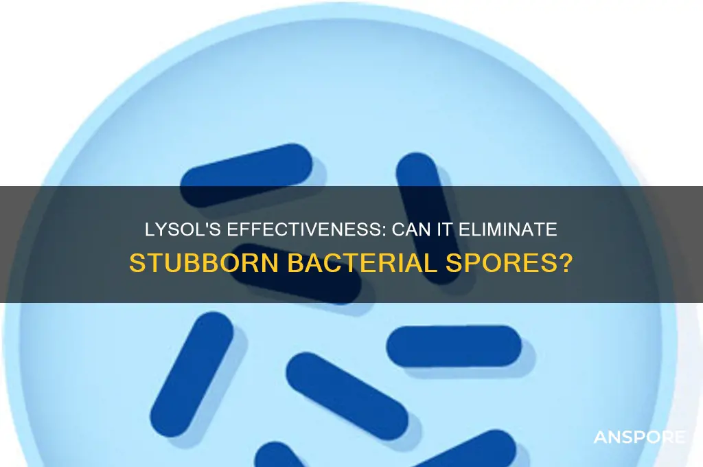 does lysol kill bacterial spores