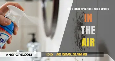 Can Lysol Spray Effectively Eliminate Airborne Mold Spores in Your Home?