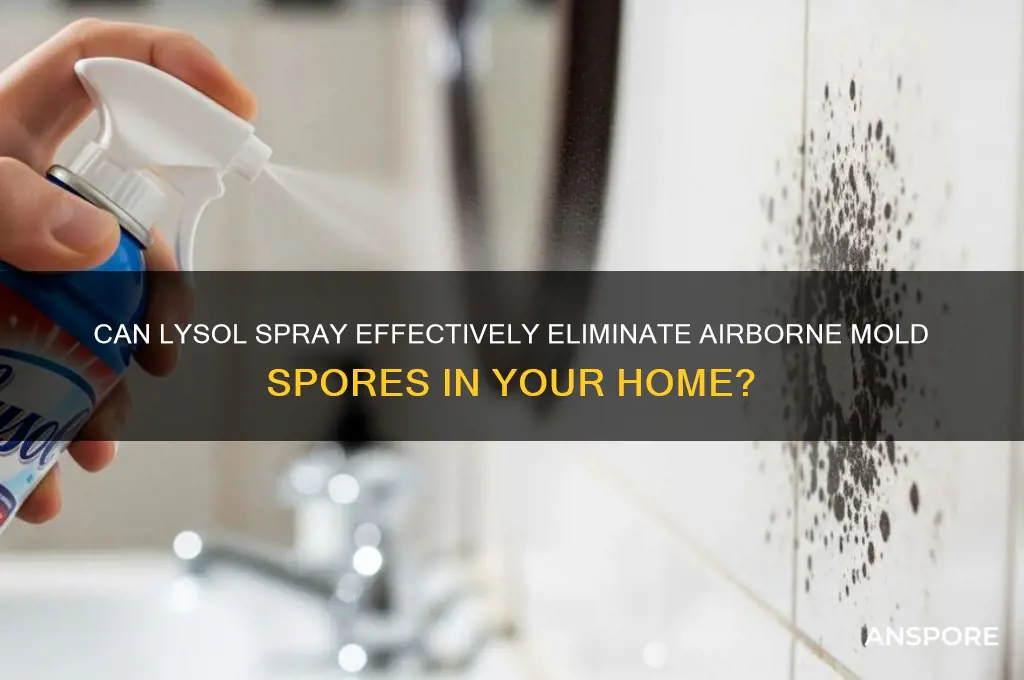 does lysol spray kill mold spores in the air