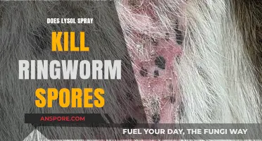 Lysol Spray vs. Ringworm Spores: Effective Disinfection or Myth?