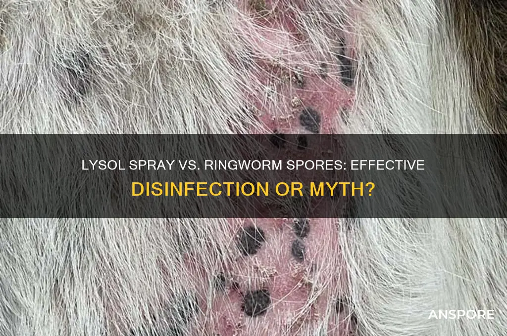 does lysol spray kill ringworm spores
