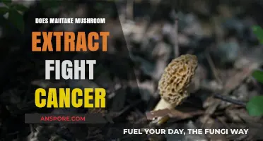 Maiitake Mushrooms: Cancer-Fighting Superfood?