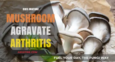 Maitake Mushrooms: Friend or Foe for Arthritis Sufferers?