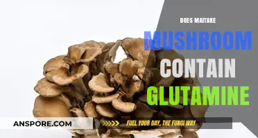 Maitake Mushrooms: Glutamine Source or Myth?