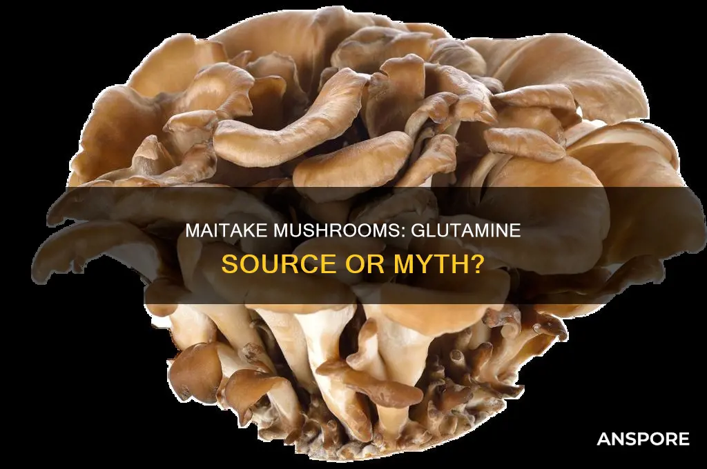 does maitake mushroom contain glutamine