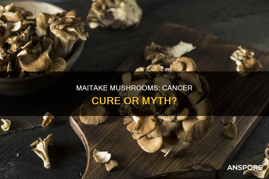 does maitake mushroom cure cancer