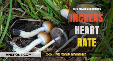 Magic Mushrooms: Heart Rate and Cardiovascular Risks