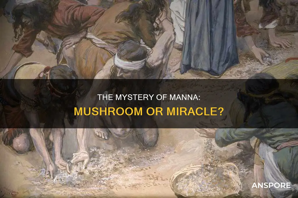 does manna mean mushroom