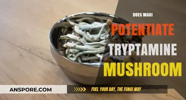 How MAOIs Intensify Tryptamine Mushroom Experiences
