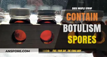 Maple Syrup and Botulism: Uncovering the Truth About Spores