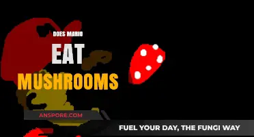 Does Mario Eat Mushrooms? Exploring the Iconic Power-Up Mystery