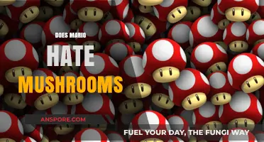 The Mushroom Conundrum: Mario's Strange Relationship with Fungi