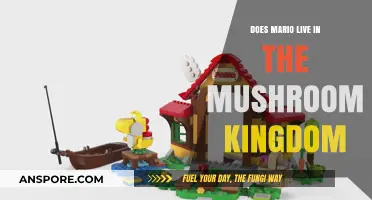 Where is Mario's Home? The Mushroom Kingdom Explained