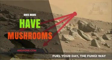 Mushrooms on Mars: Is it Possible?