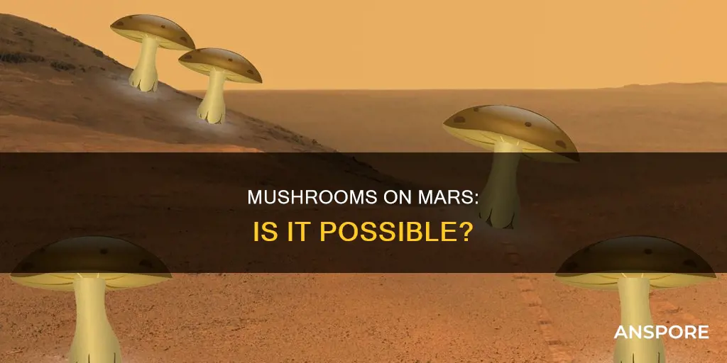 does mars have mushrooms