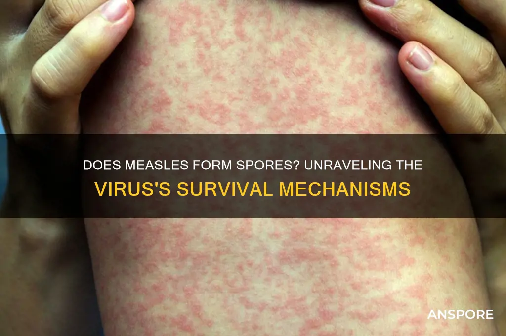does measles form a spore