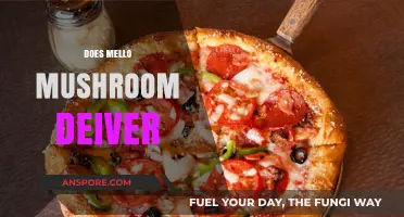 Mellow Mushroom Delivery: What You Need to Know