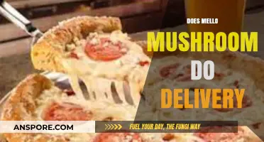 Mellow Mushroom Delivery: What You Need to Know