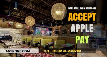 Mellow Mushroom Payment Options: Apple Pay Accepted?