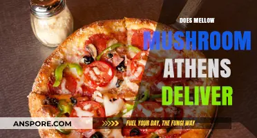 Mellow Mushroom Athens: Delivery Options and Details