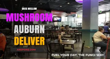 Mellow Mushroom Auburn: Delivery Options and Details