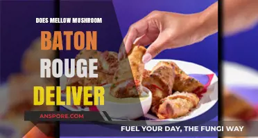 Mellow Mushroom: Baton Rouge Delivery Options Explored
