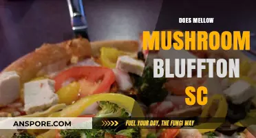 Mellow Mushroom: A Bluffton, SC Favorite