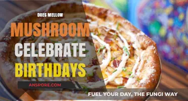 Mellow Mushroom Birthday Perks: What's on Offer?