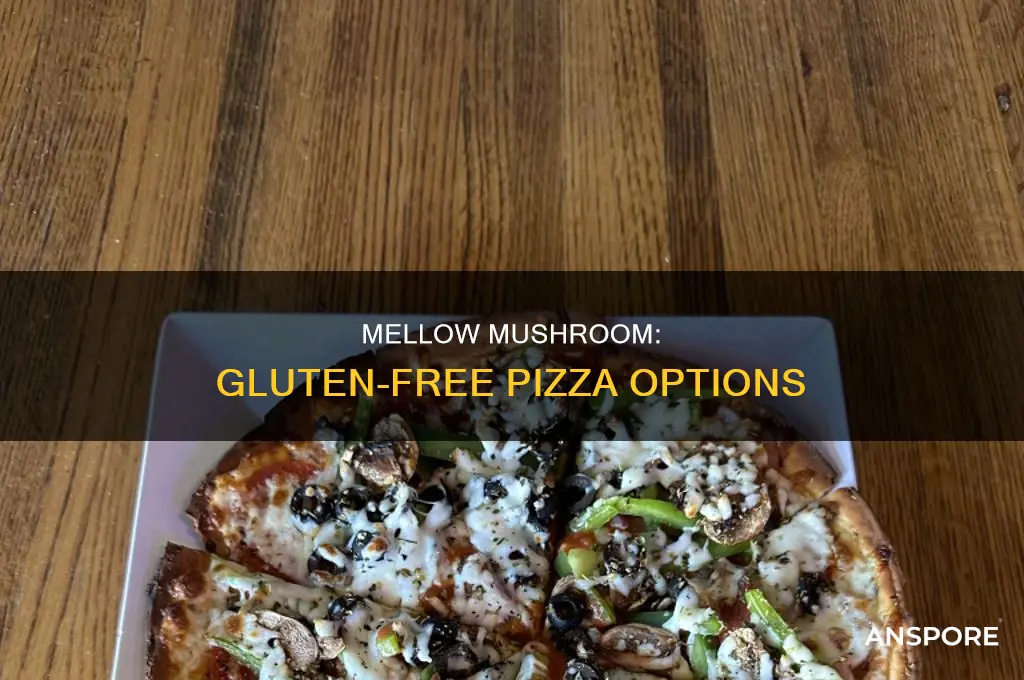 does mellow mushroom chain offer gluten free pizza