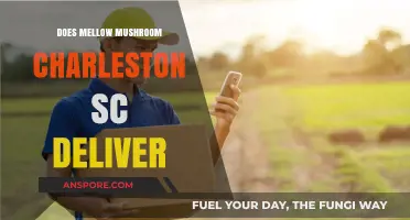 Mellow Mushroom Charleston: Do They Deliver?
