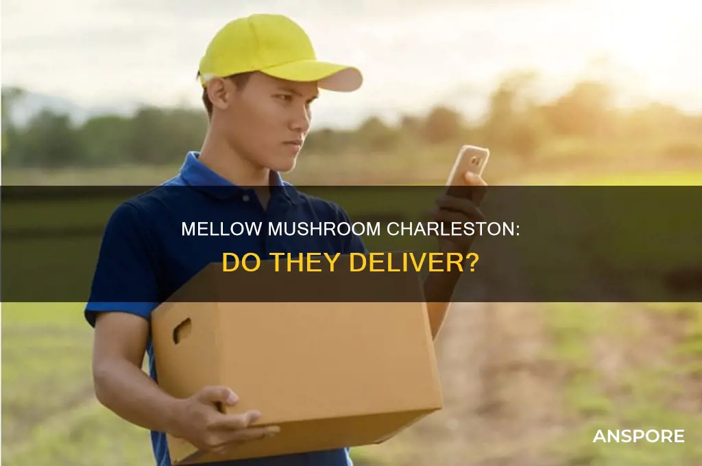 does mellow mushroom charleston sc deliver