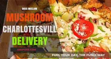 Mellow Mushroom: Fast and Easy Delivery in Charlottesville